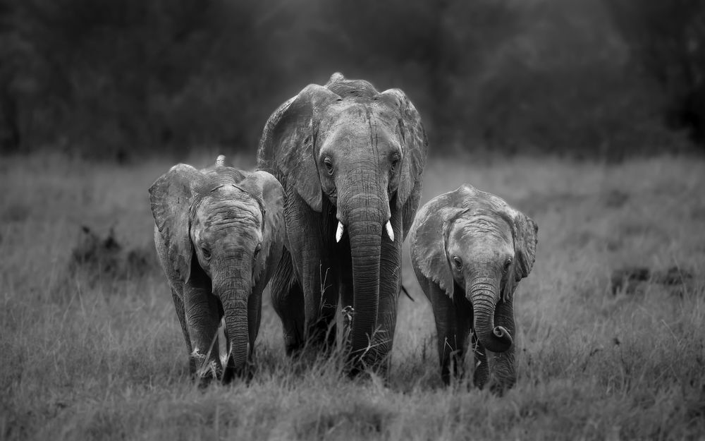 Photograph by Vignesh Ramachandran