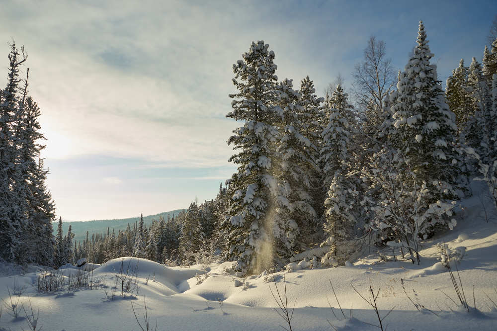 Photograph by Давыдов Павел