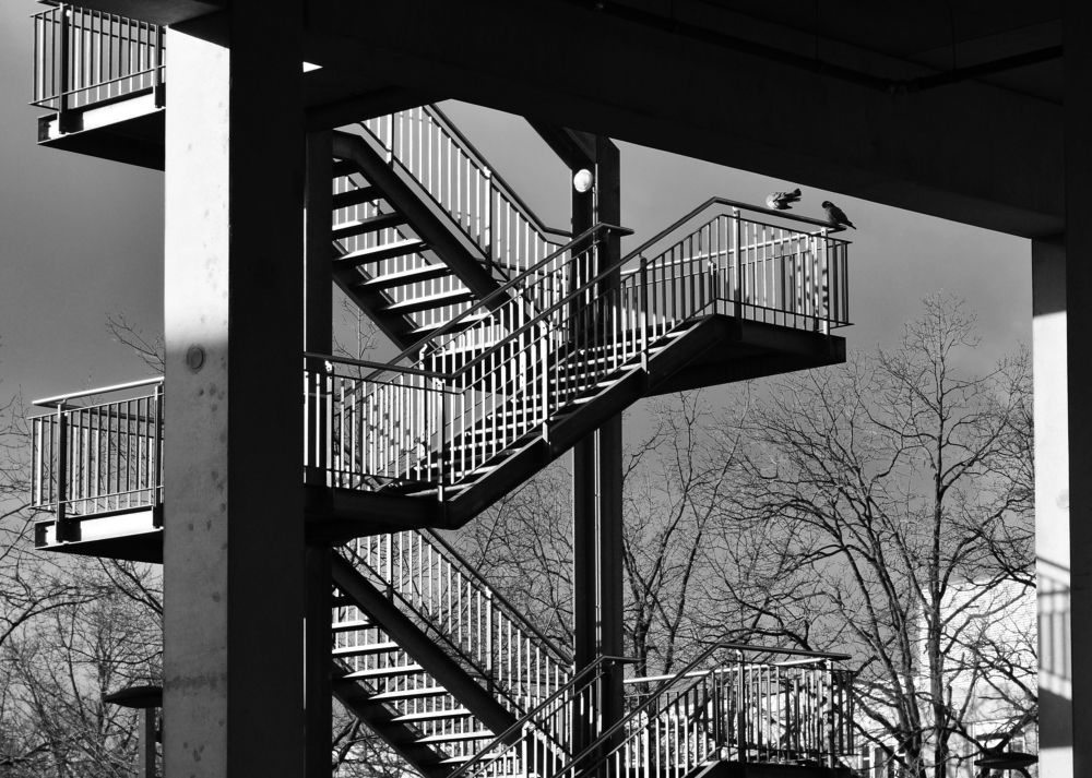 Photograph by Gabriella Szabo