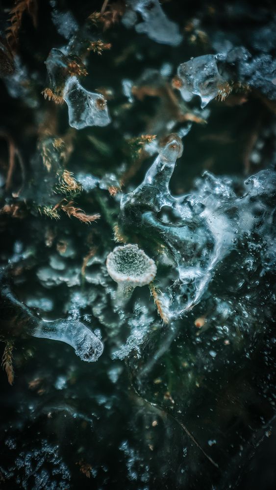Photograph by Екатерина Фетисова