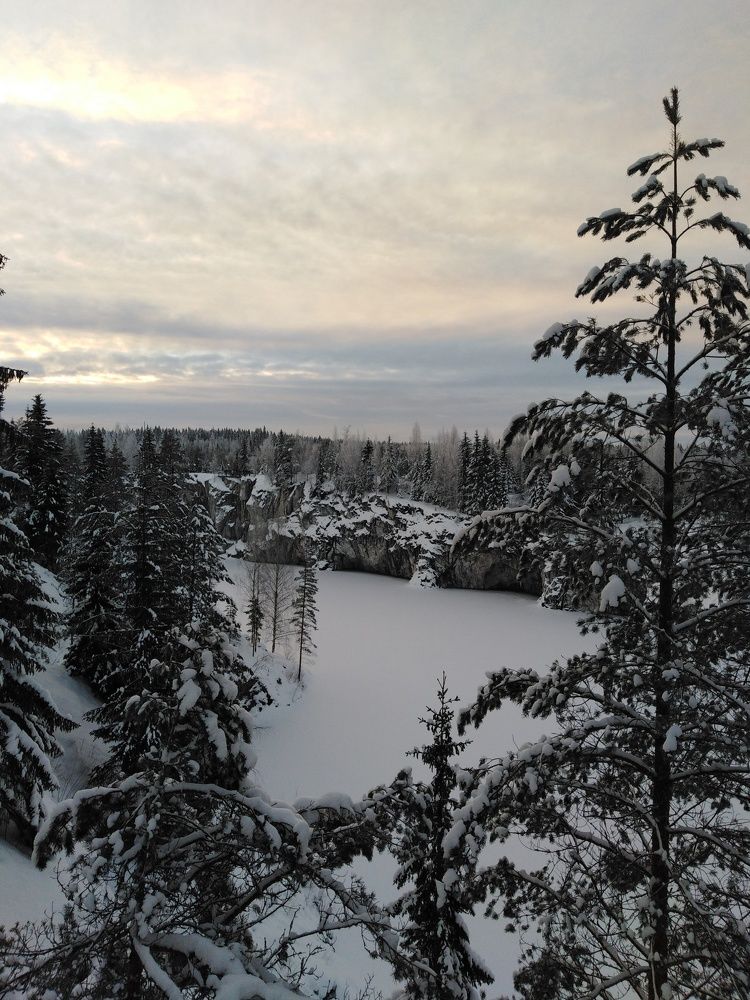Photo #7354431