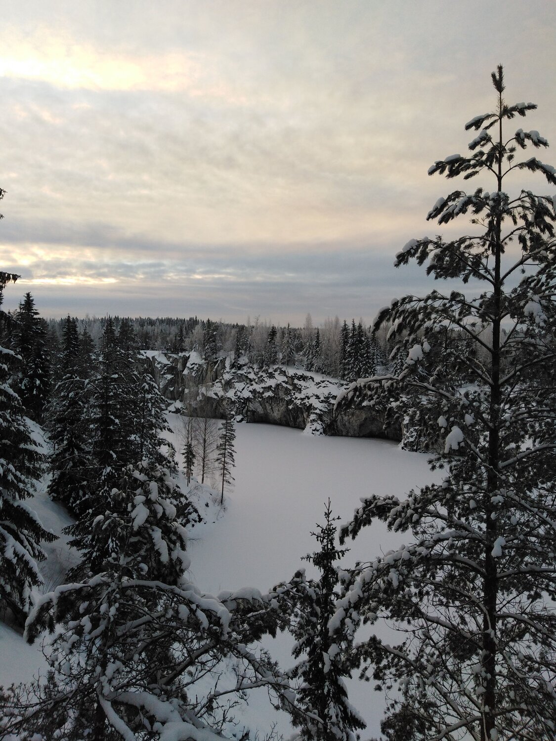 Photo #7354431