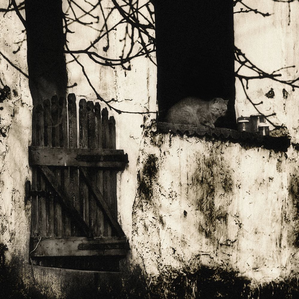 Photograph by Gabriella Szabo