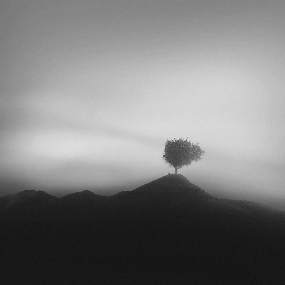 Photograph by Mohammad Dadsetan