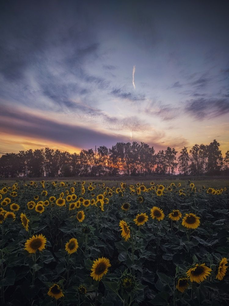 Photograph by Денис Сухов