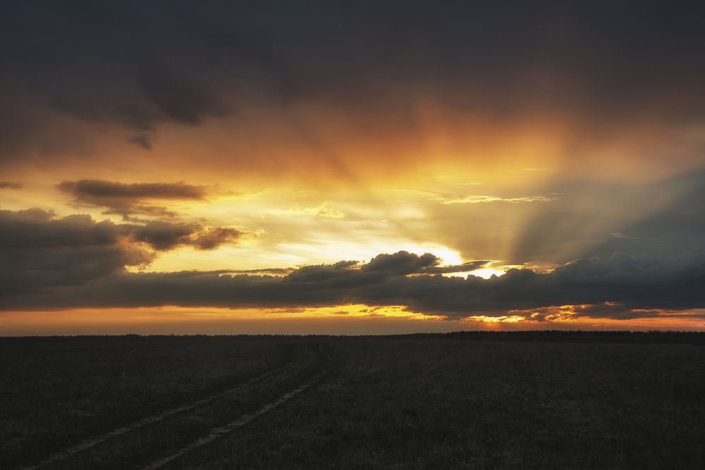 Фотография автора Руслан Соколов