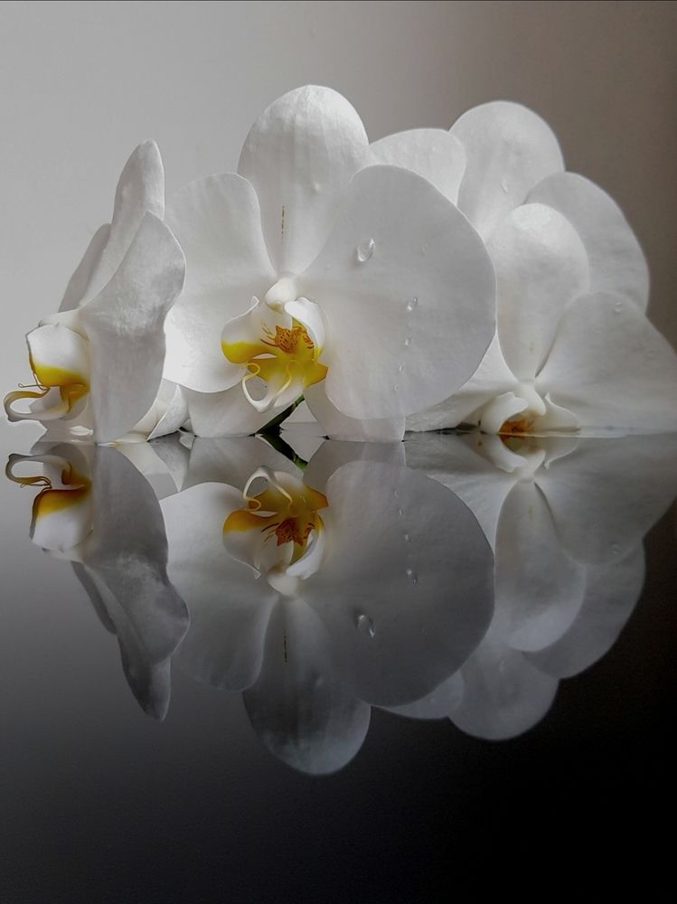 Photograph by Татьяна Яркович