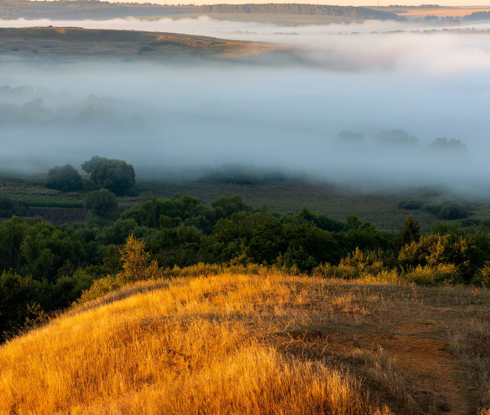 Photograph by Alexey Fedorov