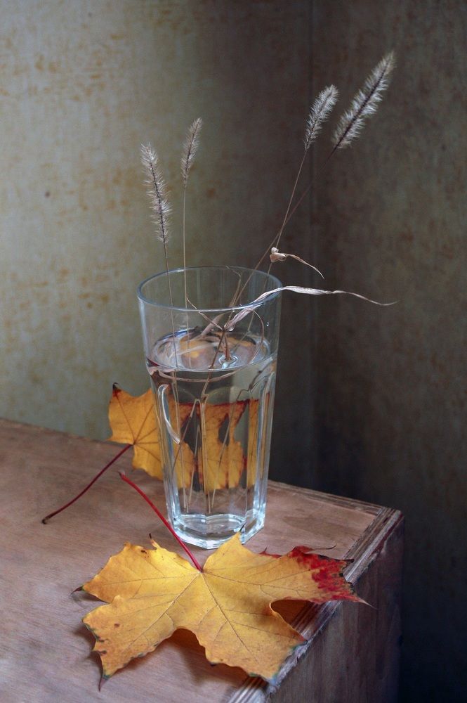 Photograph by Дмитрий Сырбу