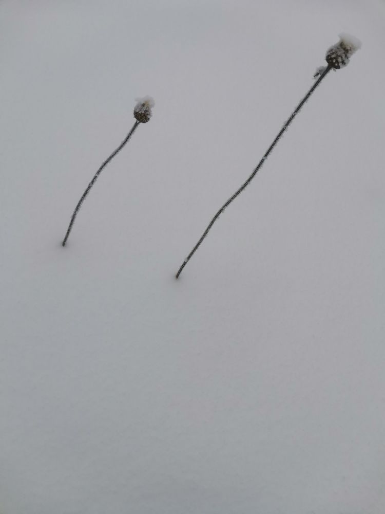 Photograph by Александра Барсукова