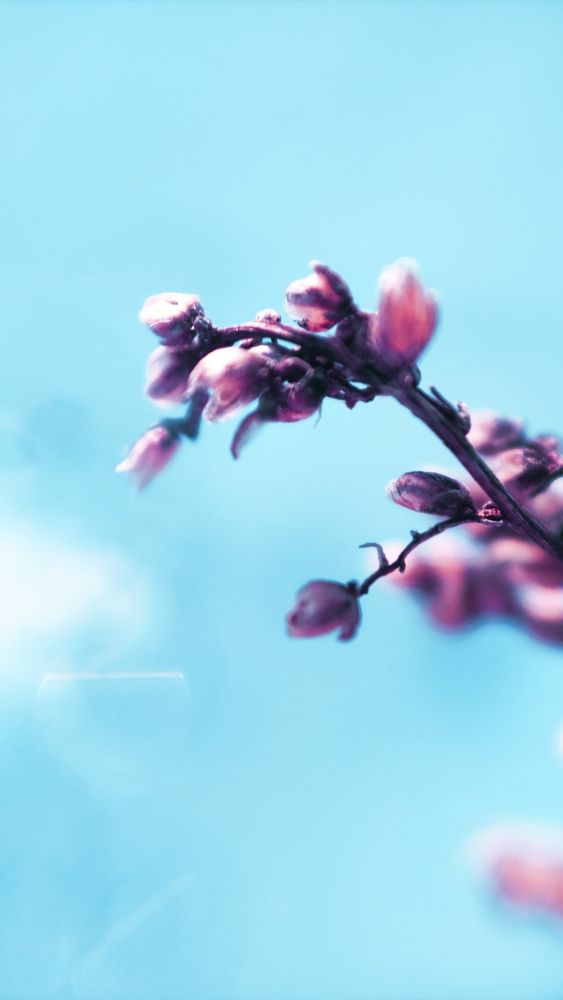 Photograph by Екатерина Фетисова