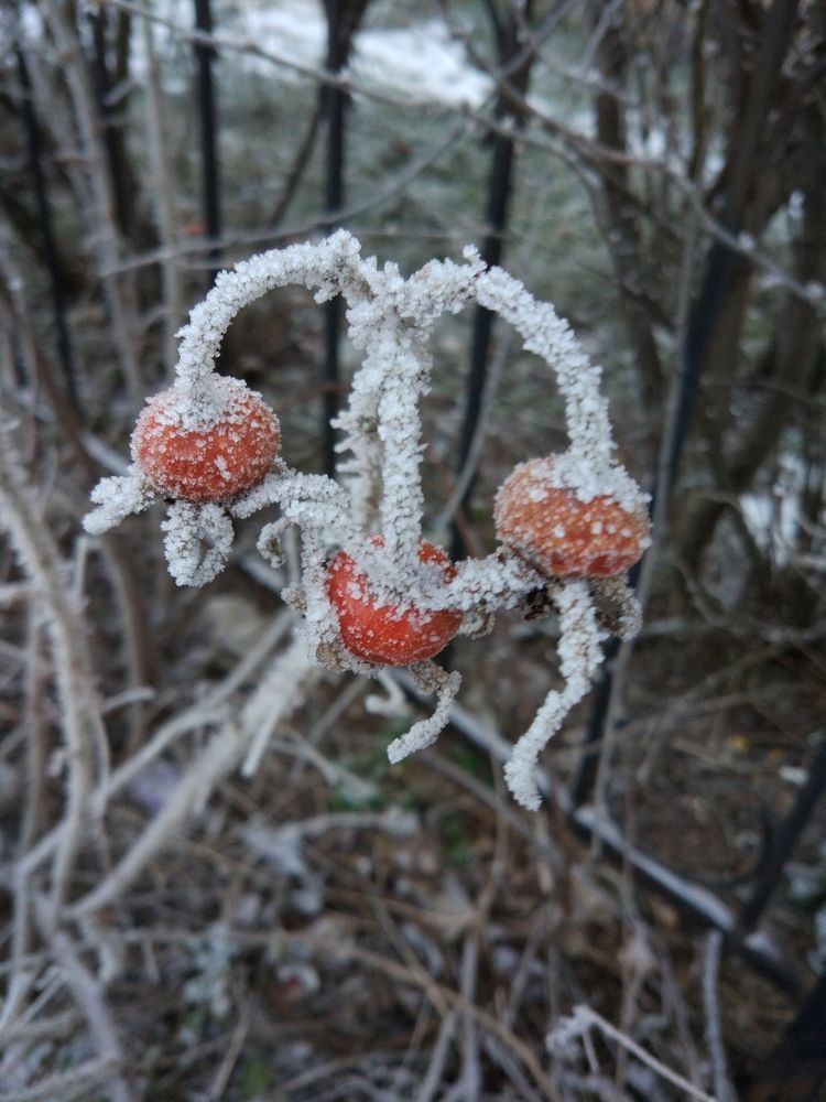 Photograph by Svetlana Stenkina