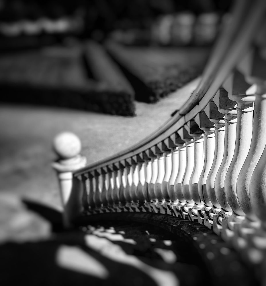 Фотография автора Alina Filimonova