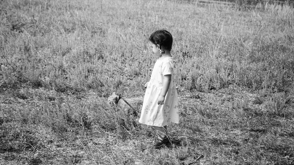 Photograph by Алина КАШКАВАЛ