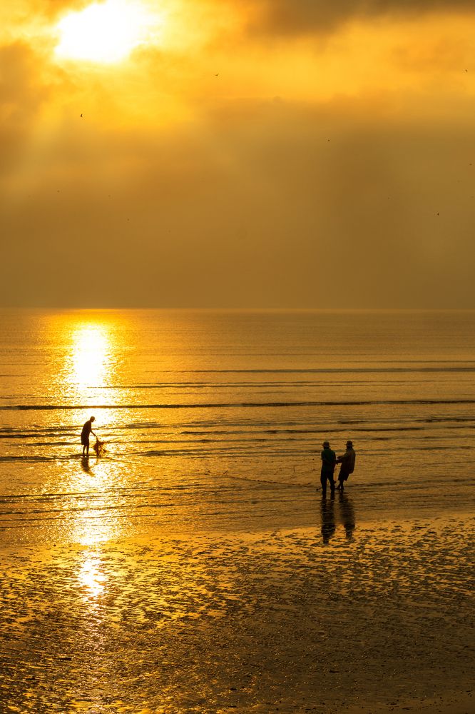 Photograph by phong nguyen