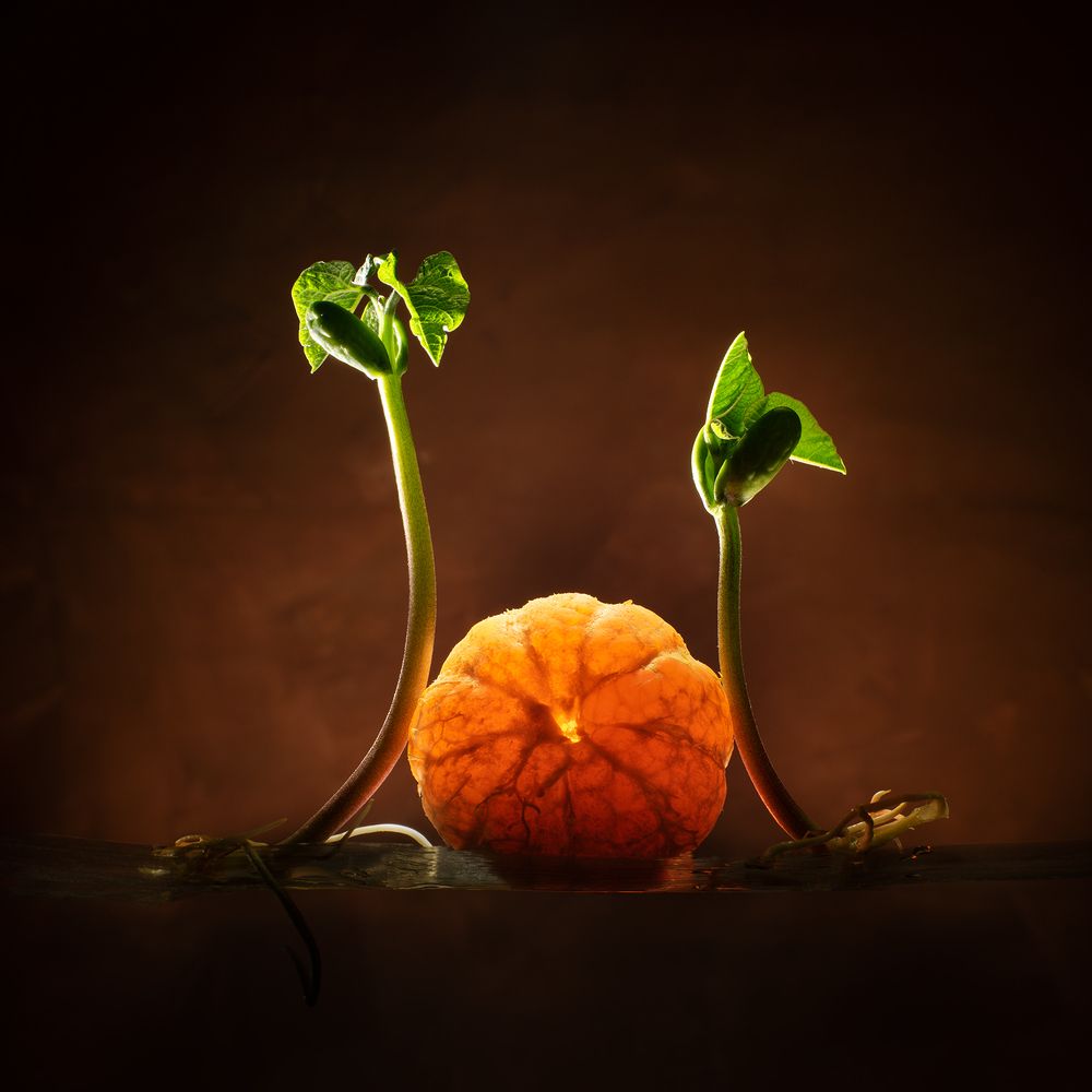 Южное солнце