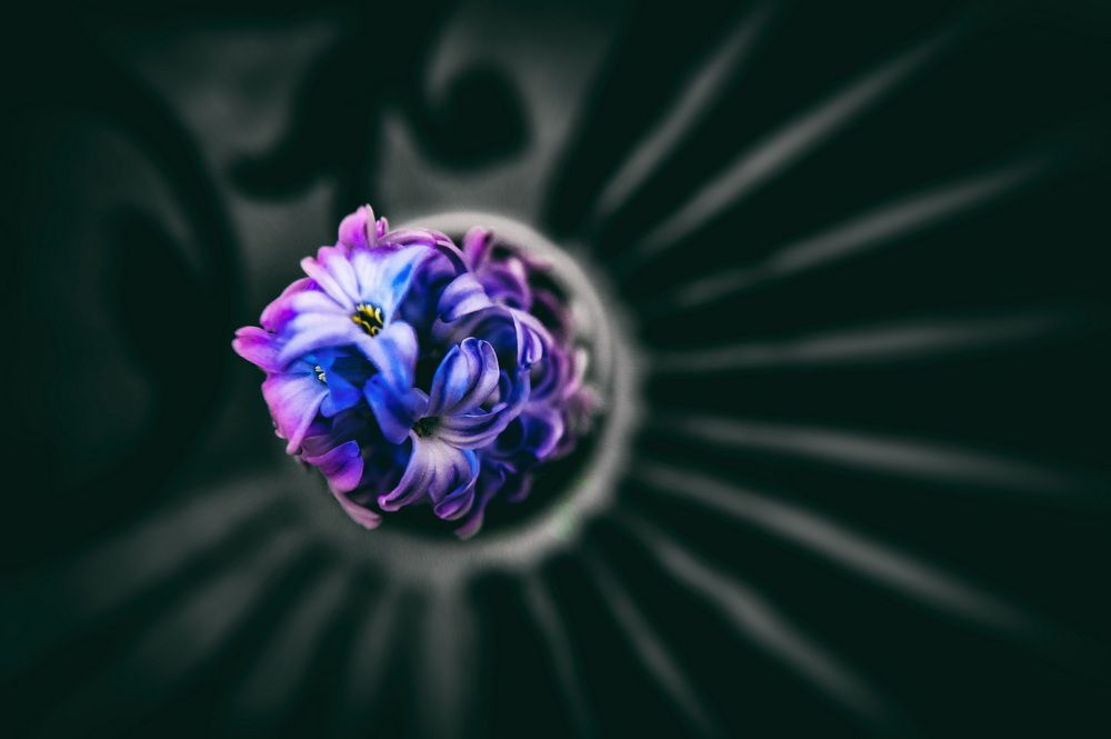 Photograph by DAMOUN POURNEMATI