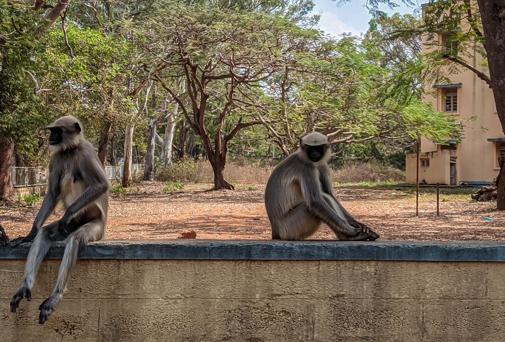 Photograph by Vijayakumar