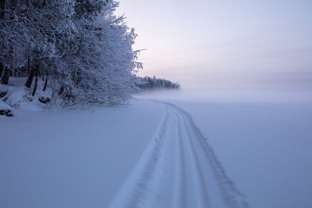 Photograph by Aimo Liuska