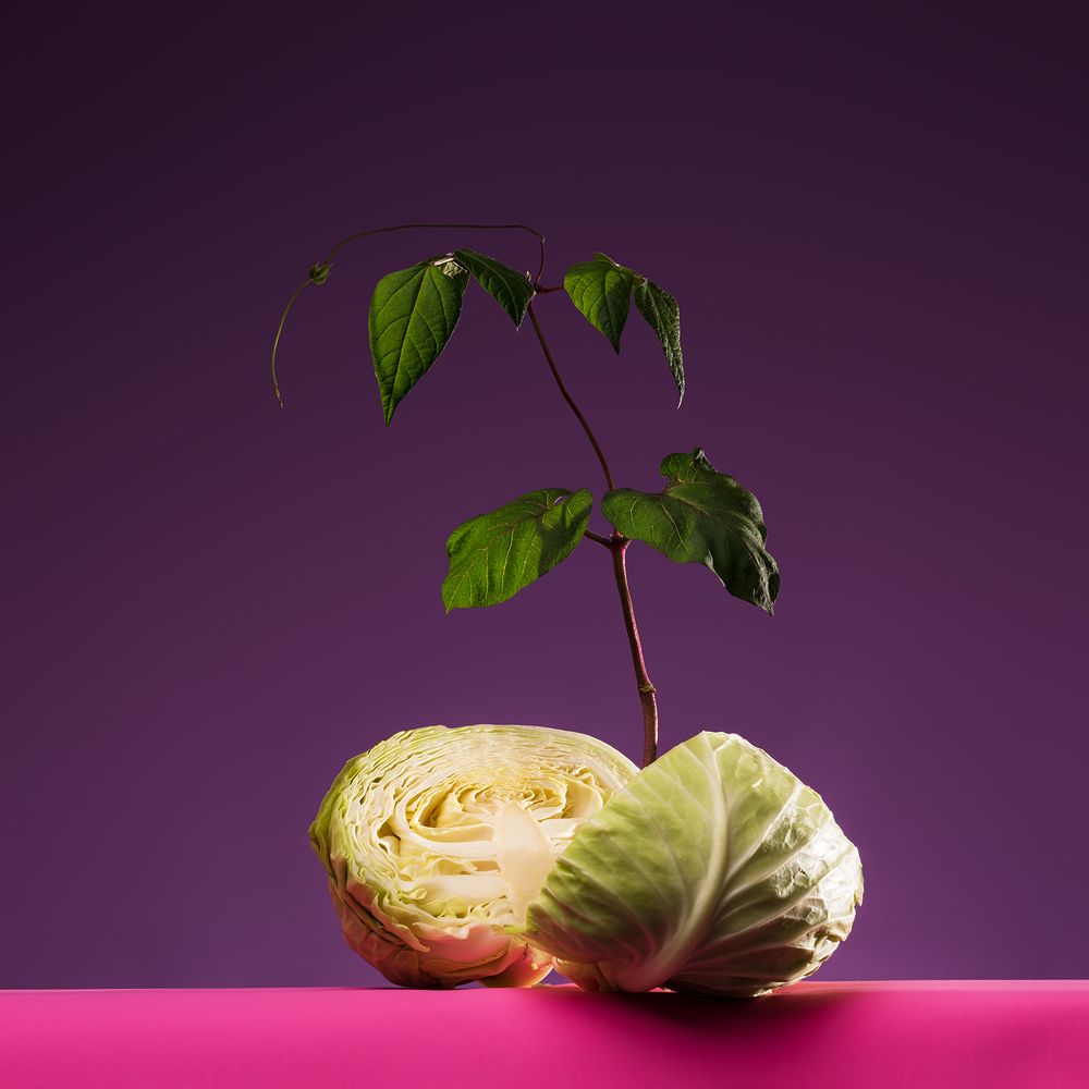 Без названия