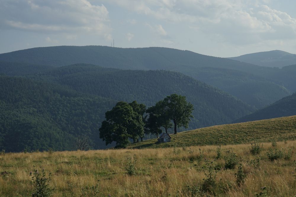 Фотография автора Ирина Зайцева