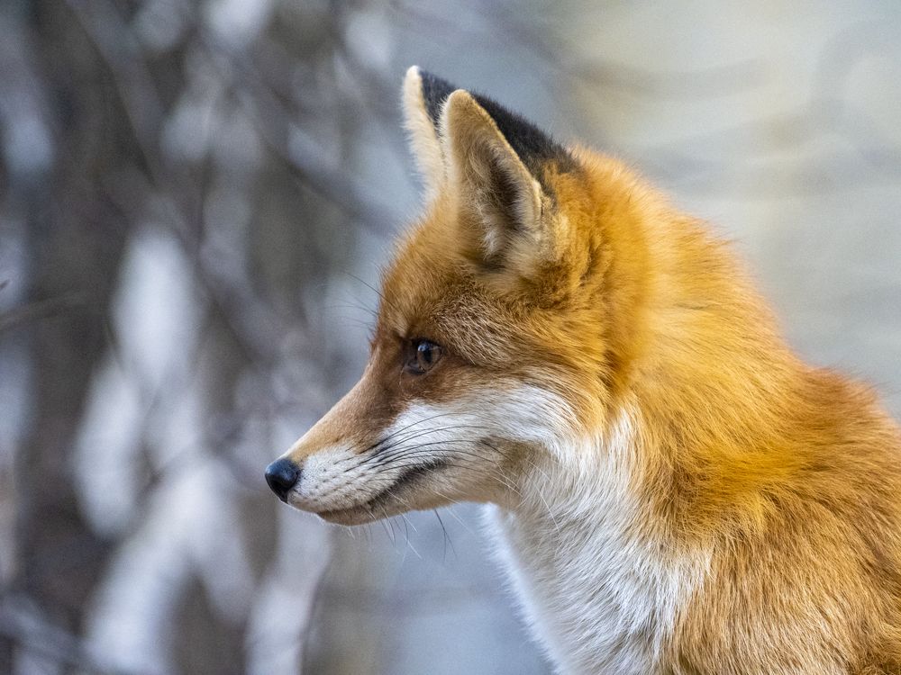 Фотография автора Mariya Belyalova