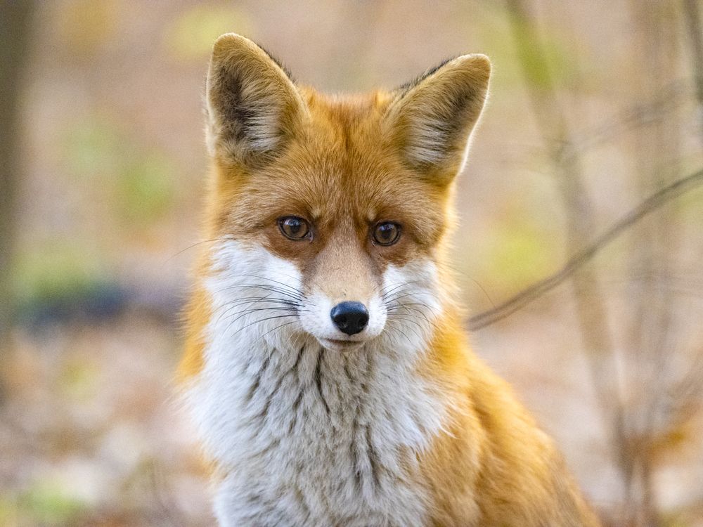 Фотография автора Mariya Belyalova