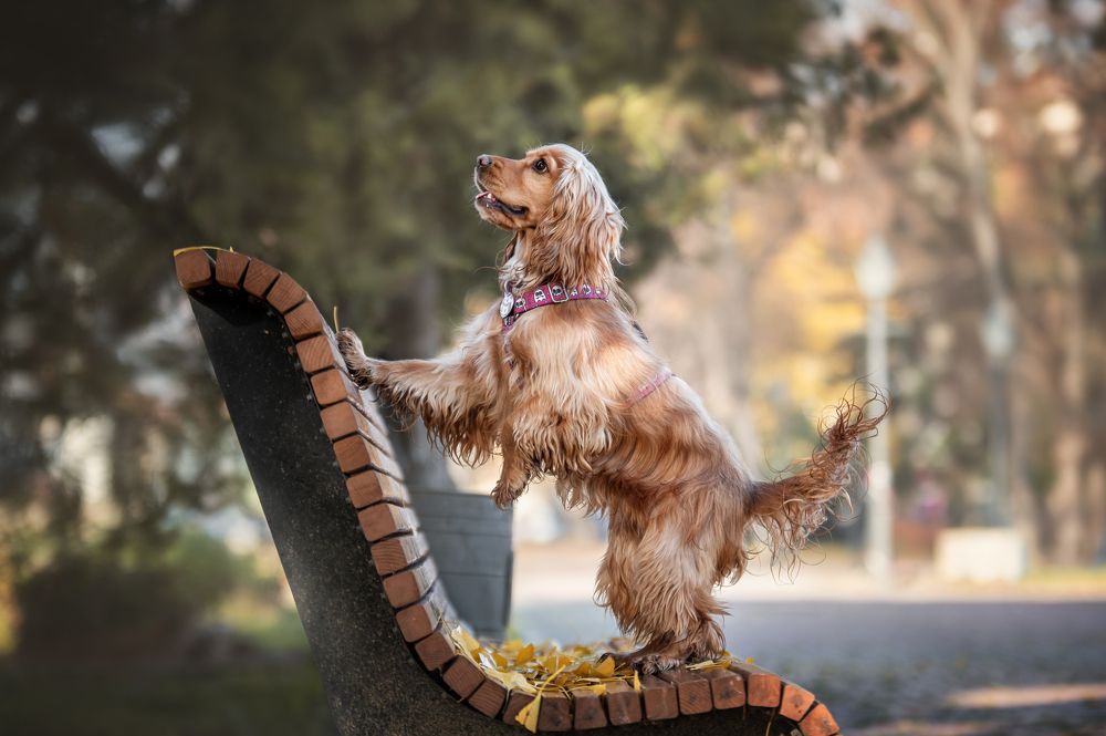 Photograph by Кристина Чижмар