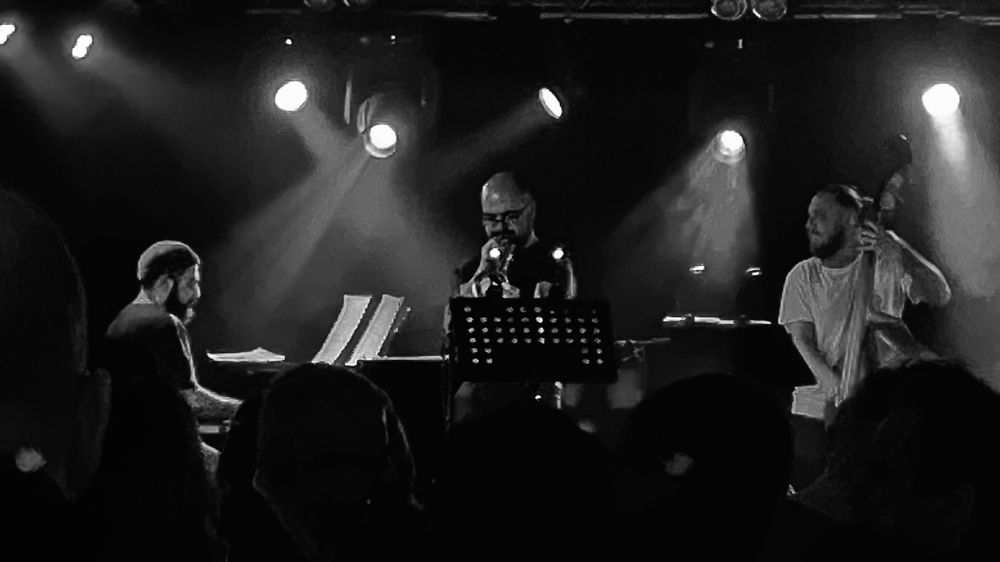 The «TONY KARAPETYAN TRIO» concert