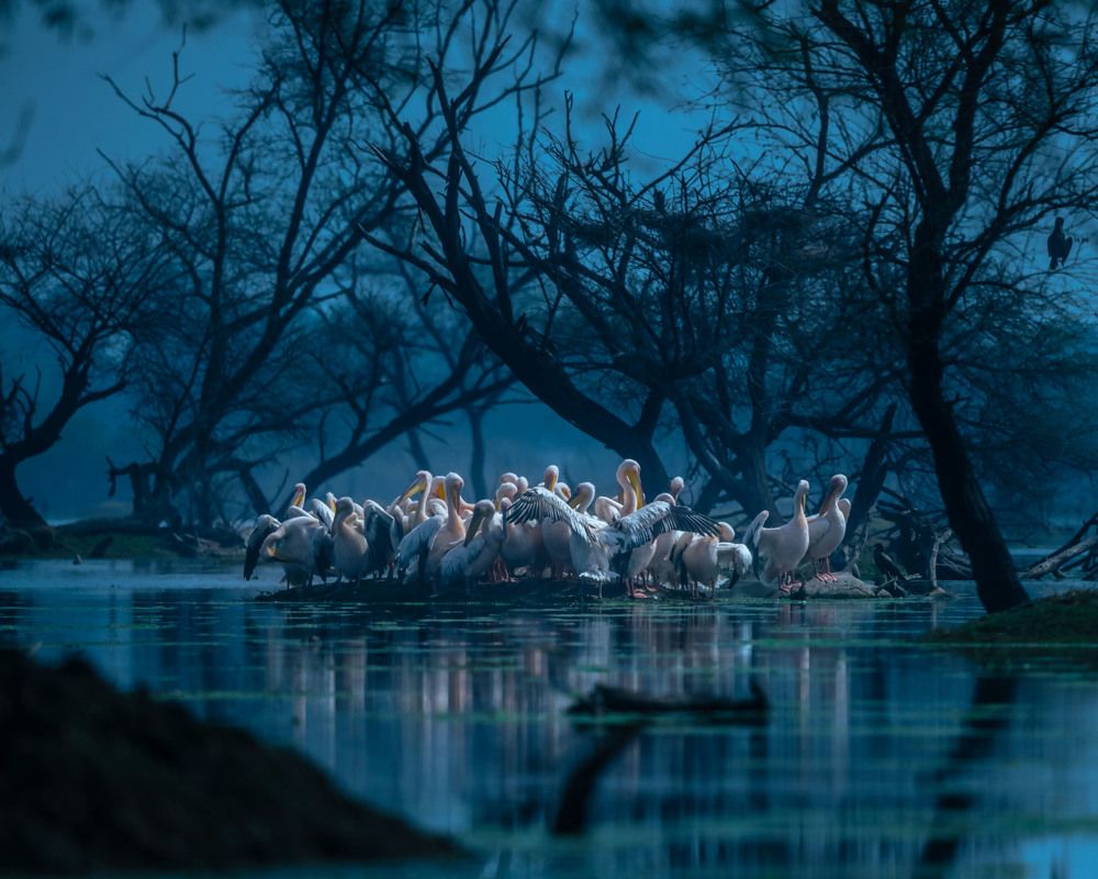 Photograph by Ravindra Kapu