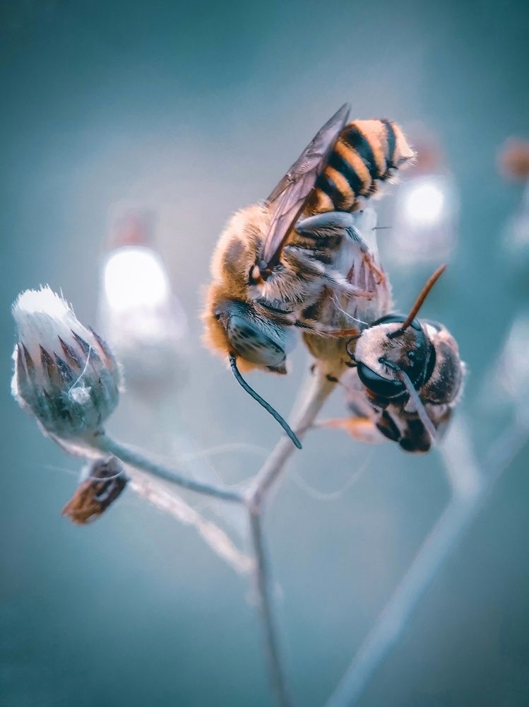 Photograph by Feri Fikri