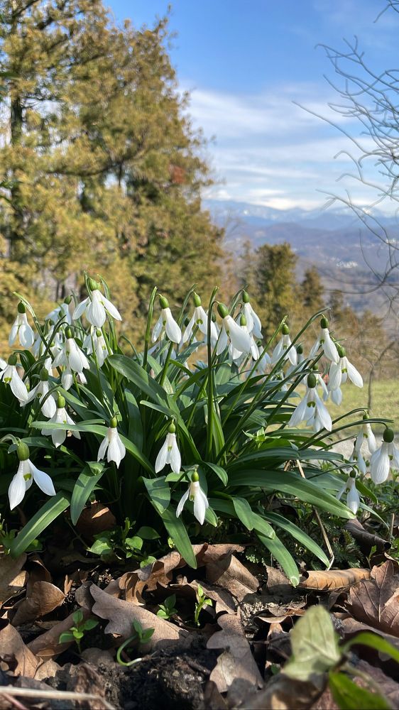 Photograph by Елена Горбунова