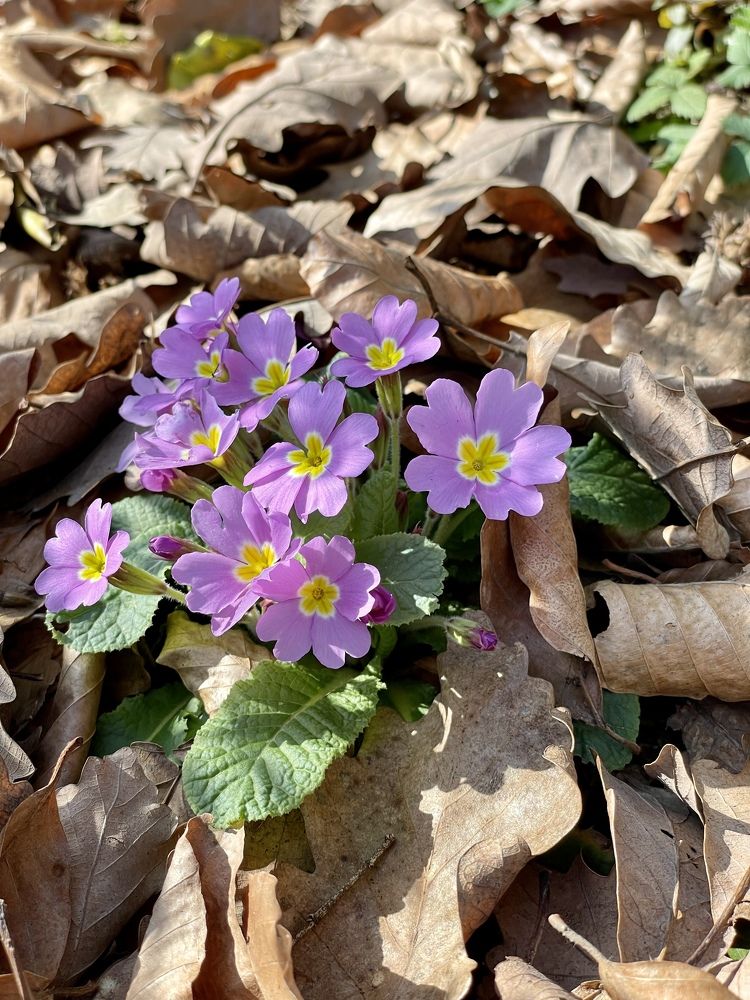 Photograph by Елена Горбунова