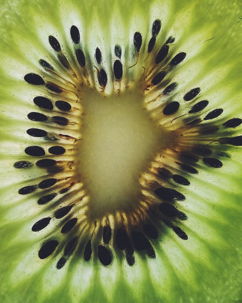 Photograph by Оксана Сабылина