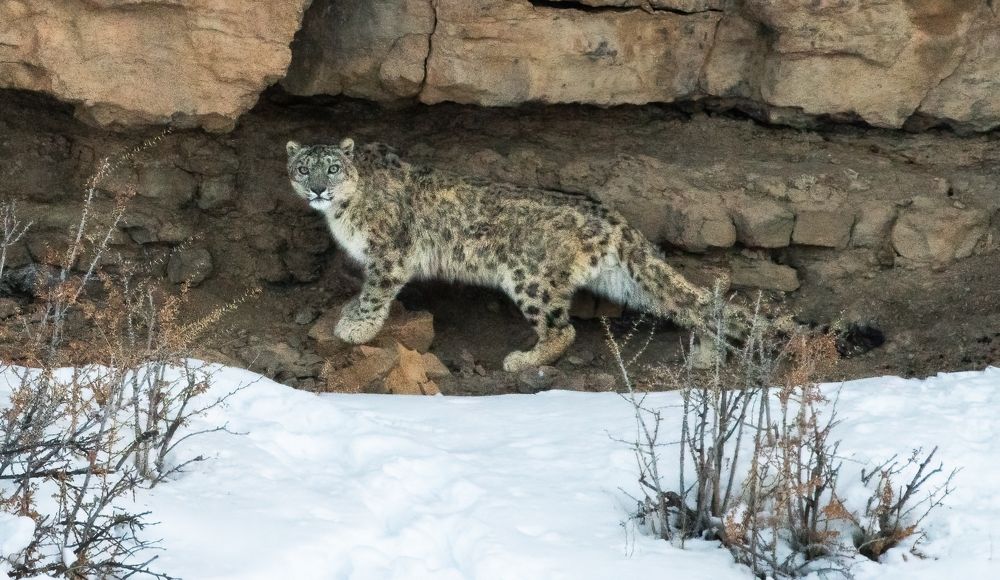 Photograph by Saurav Jha