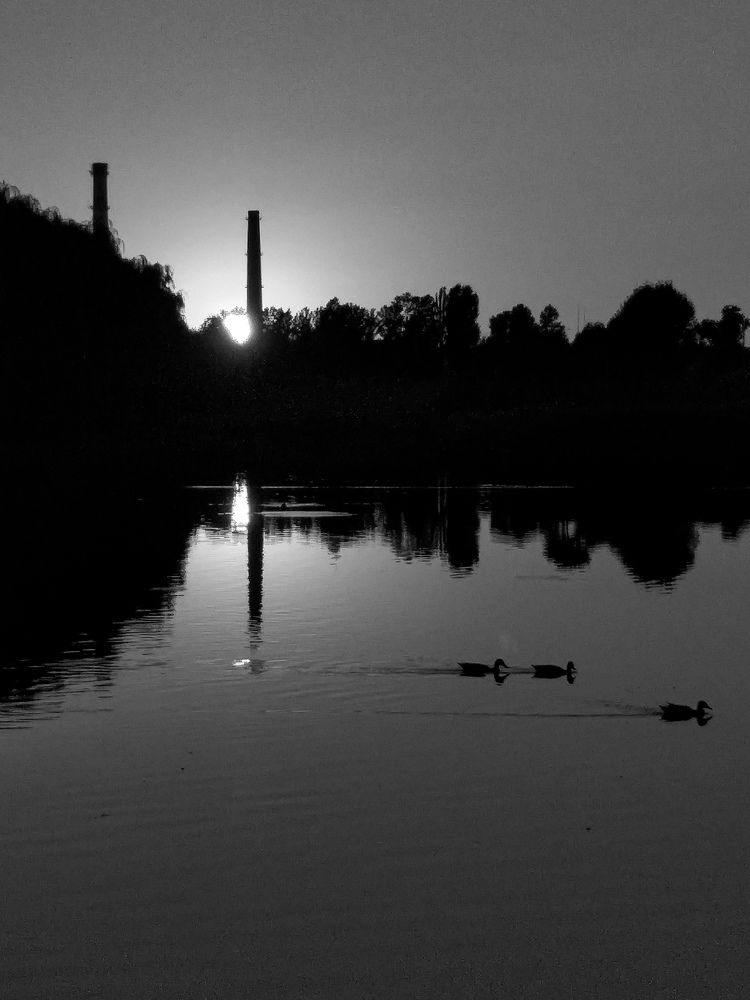 Photograph by Дмитрий Скибунов