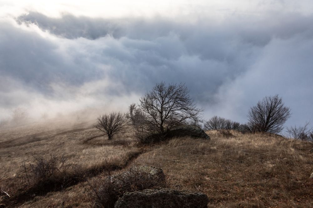 Photograph by Константин Аношин