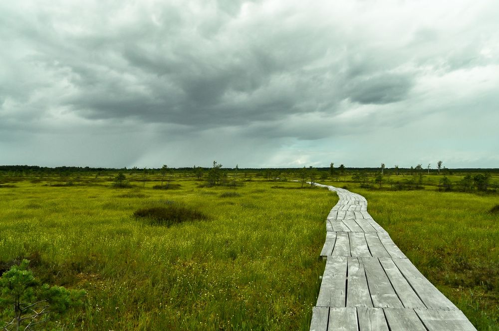 Photograph by Ольга Герасименко