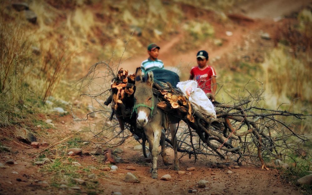 Photograph by Борис Пирог