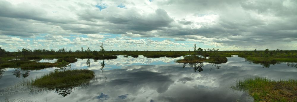 Photograph by Ольга Герасименко