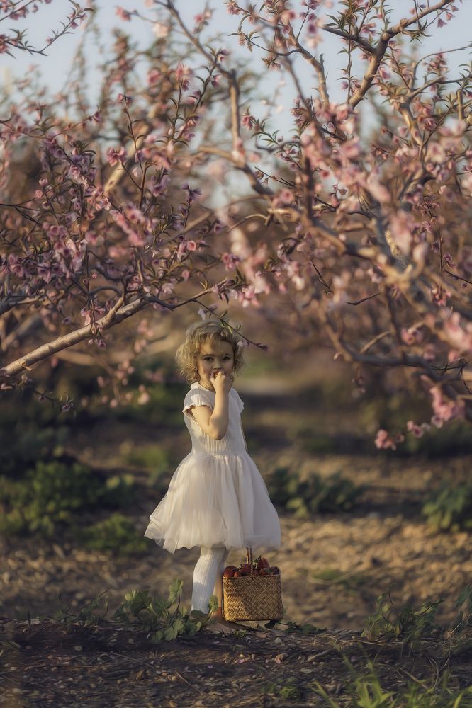 Photograph by Tahel Shenhav