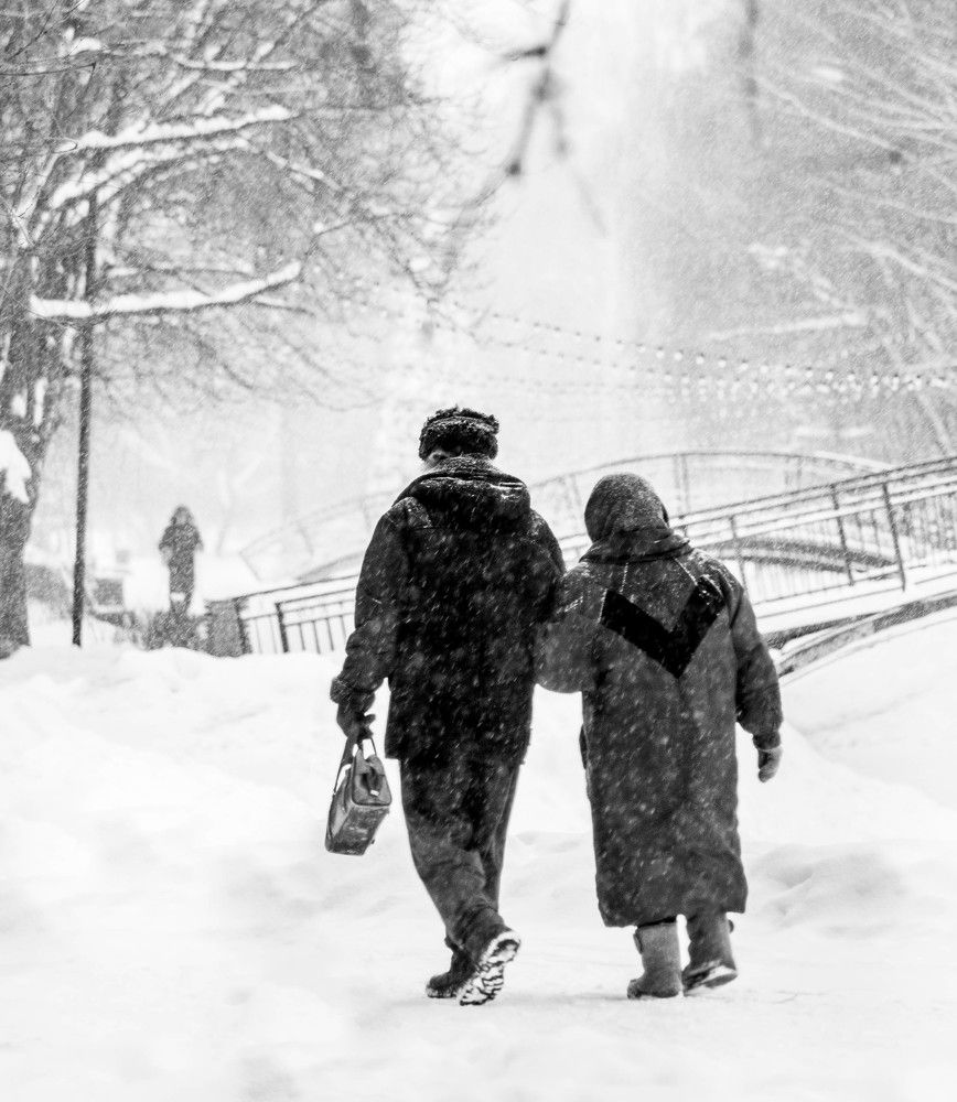 Photograph by Даша Камардина