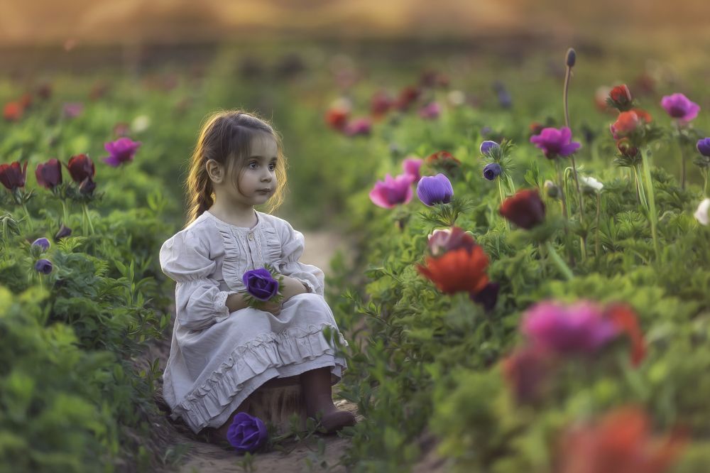 Photograph by Tahel Shenhav