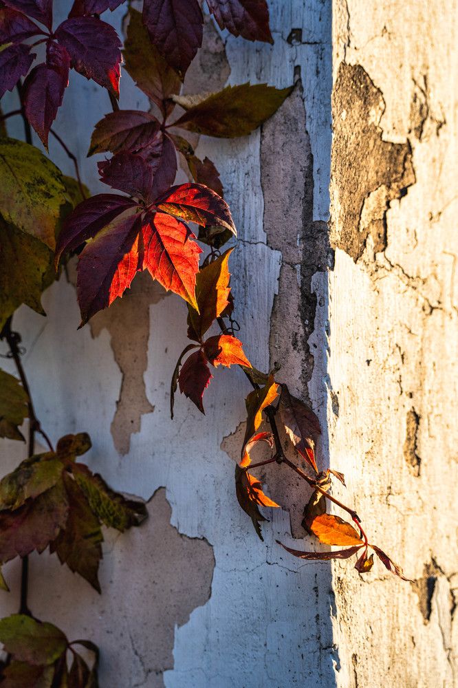 Photograph by Дмитрий Дигилин