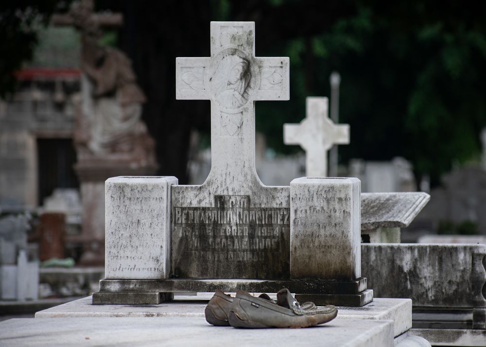 Photograph by Alejandro Benítez Guerra