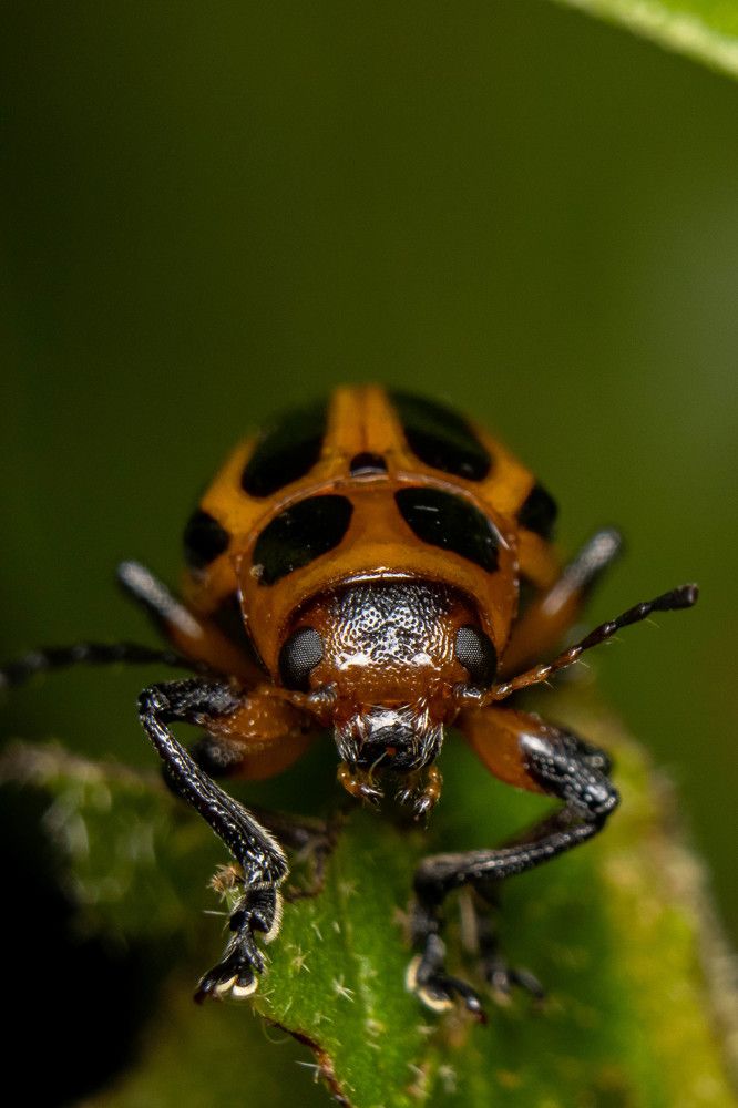 Photograph by Bruna Pinto Pereira