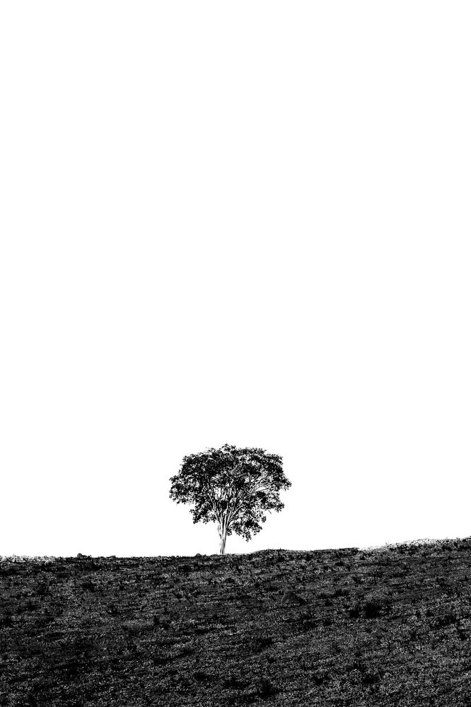 Photograph by Bruno Montine