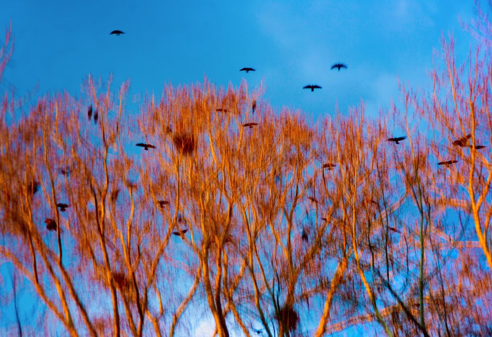 Photograph by Ilуа Chirkov