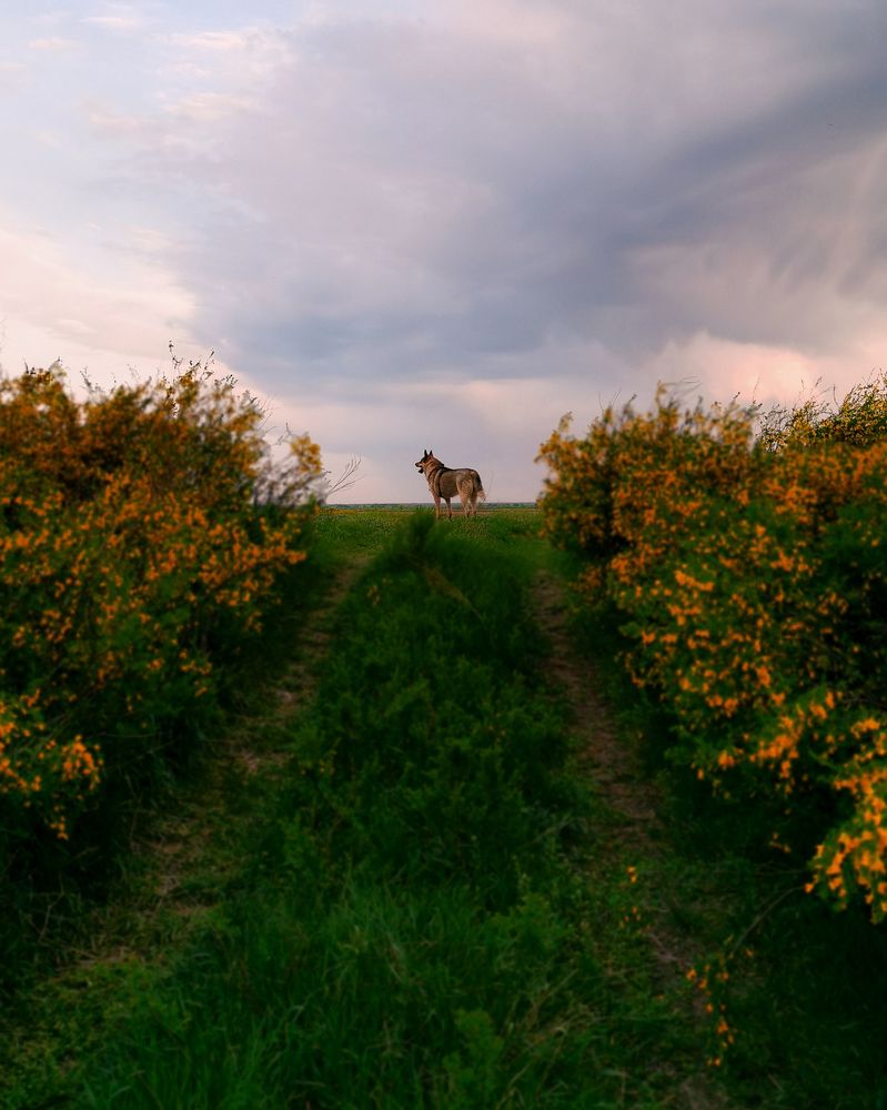 Фотография автора Lina Kuba