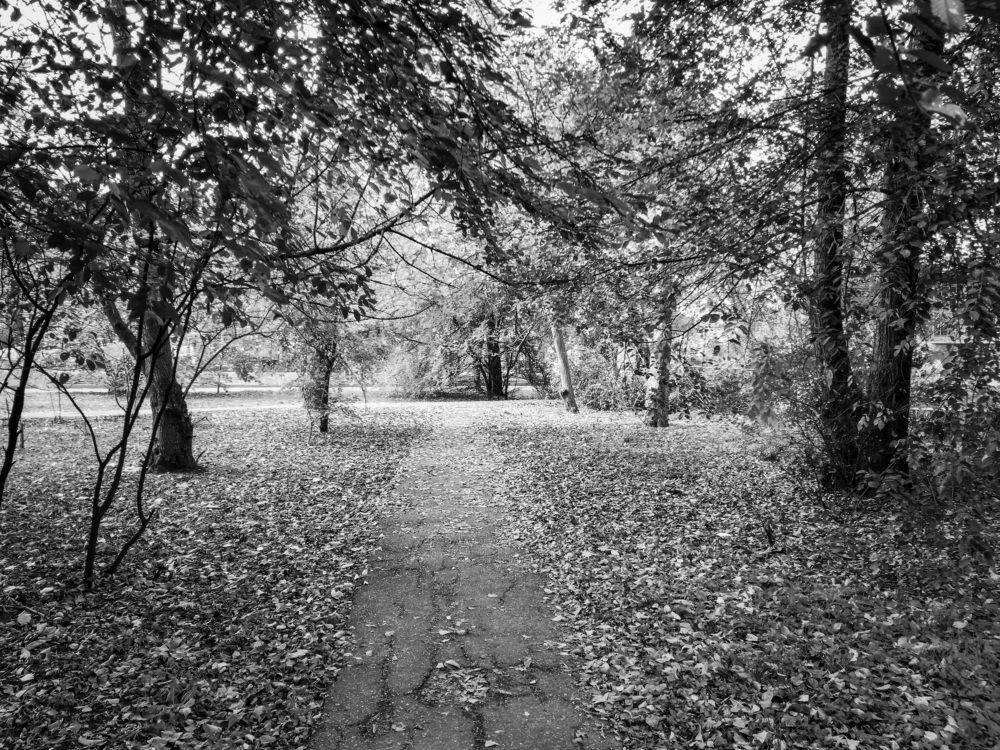 Поздняя осень / Late Autumn